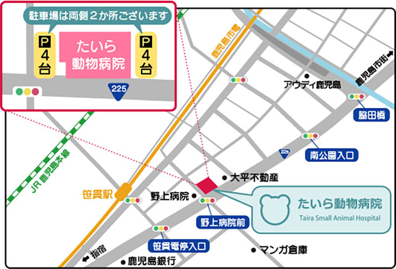 たいら動物病院のアクセス地図。国道225号沿いで、野上病院前の向かい側にある。駐車場は病院前に2か所あり、4台駐車可能。